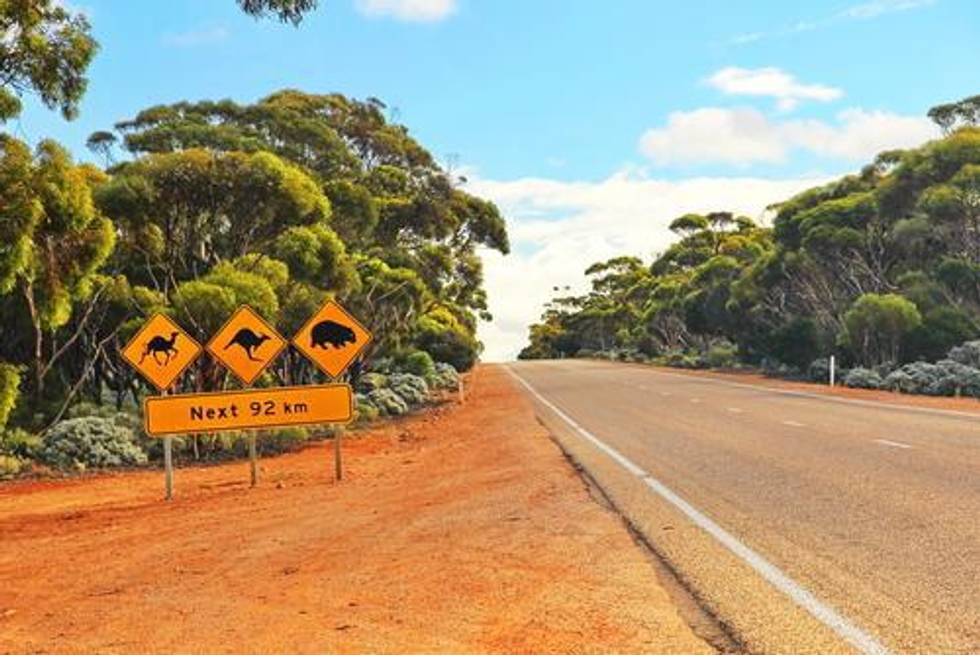 Pilbara Minerals Inks New Lithium Offtake with Chinese Company