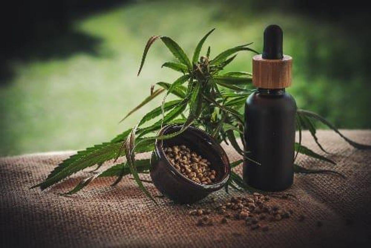 Little Green Pharma Gets Expanded Medicinal Cannabis Licence