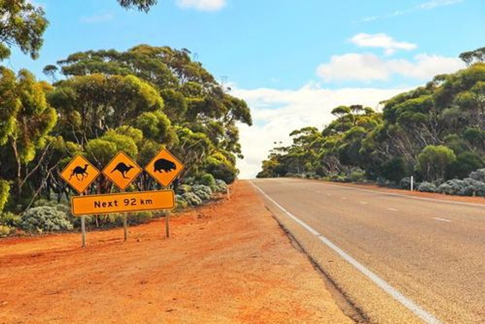 5 Top Gold Stocks in Western Australia