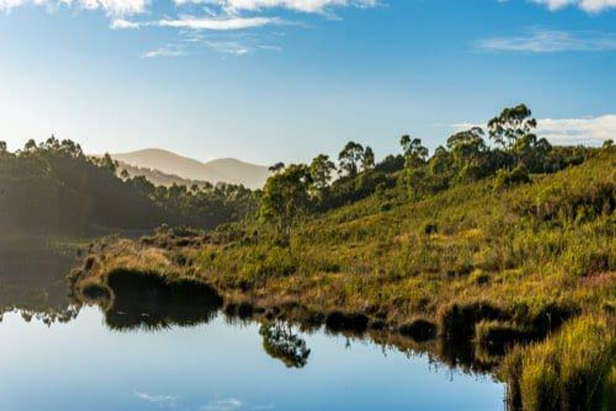 Not So Nifty: Metals X Puts the Brakes on Copper, Turns to Tin