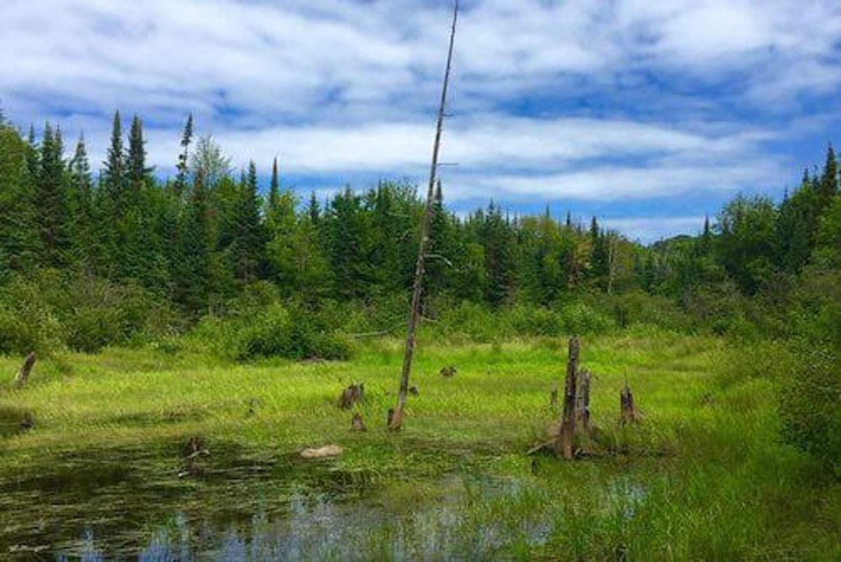 Australia’s Evolution Mining Establishes “Beach-head” in Canada