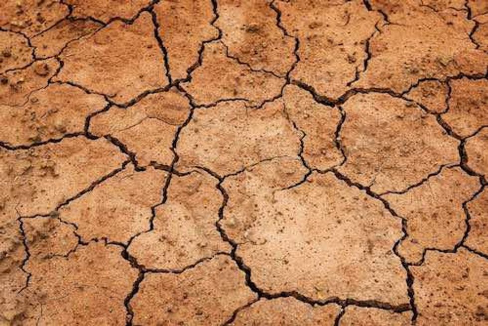 PCF Capital: Juniors Suffering from a “Capital Strike”