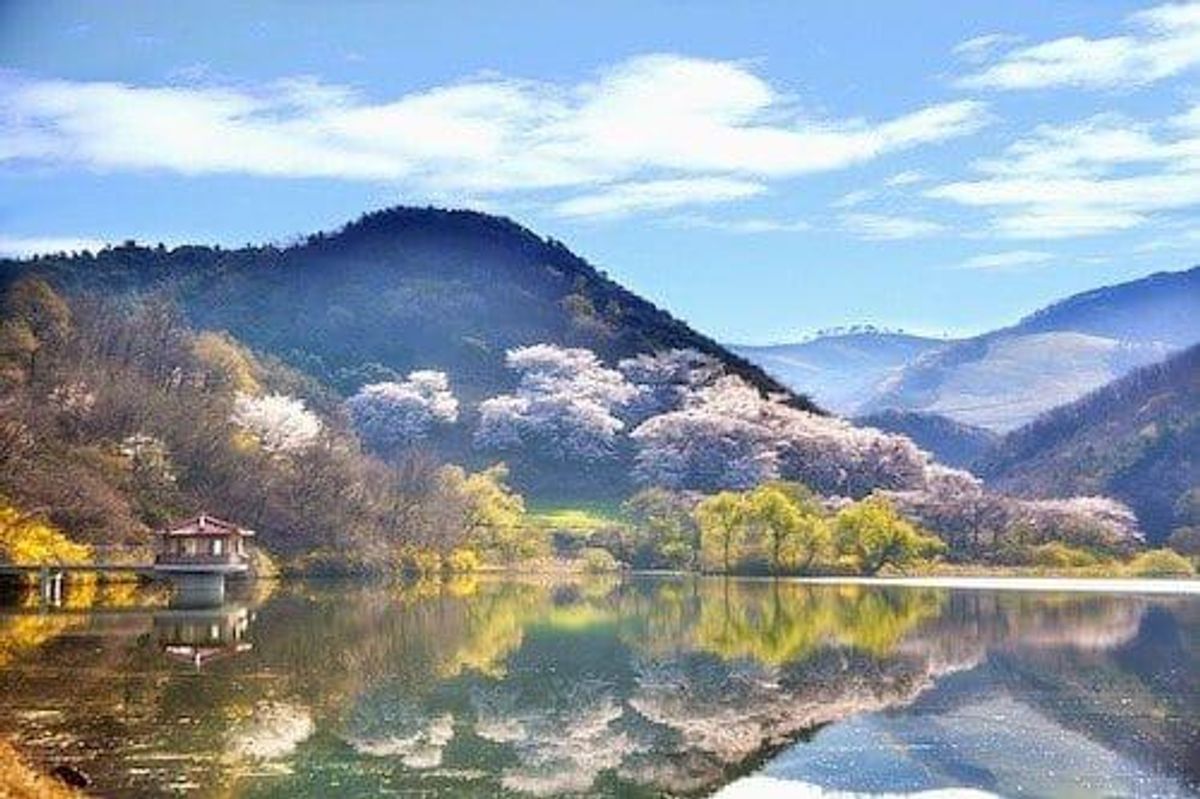 First Hellyer Silver-Lead-Gold Shipment Docks in Korea