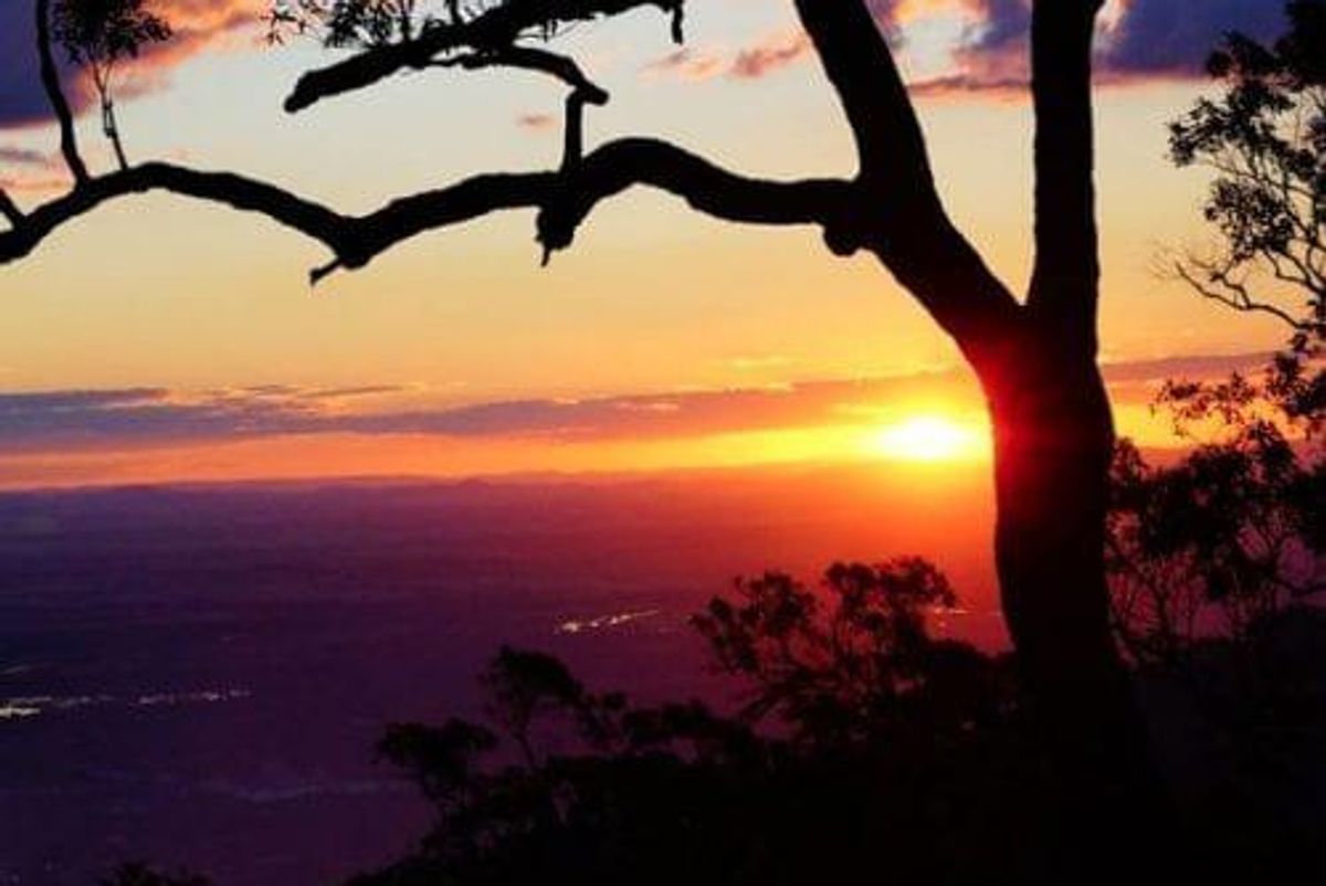 Independent Review Sets High Expectations for Sconi