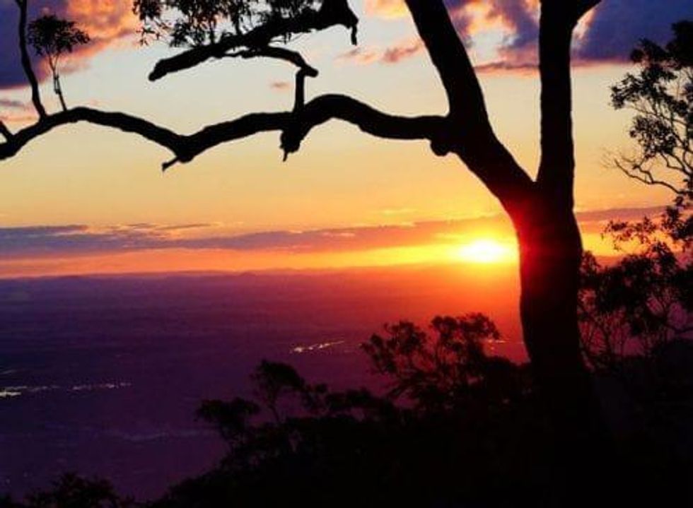 Independent Review Sets High Expectations for Sconi