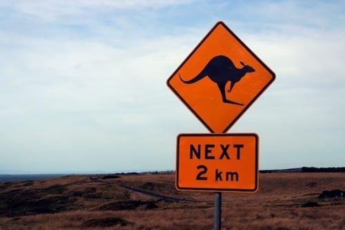 Element 25 Starts Infill Drilling at Butcherbird Manganese Project