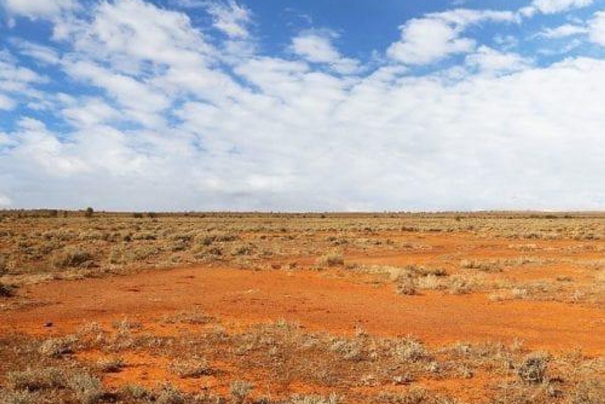 Banking on Batteries, Western Areas Sets Out at Odysseus