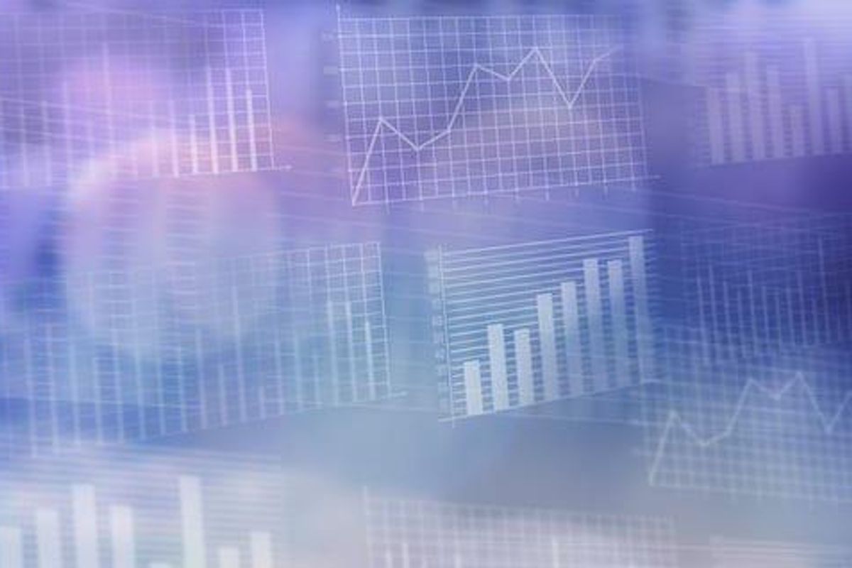 Paladin Reports Significant Revenue Drop Between Quarters