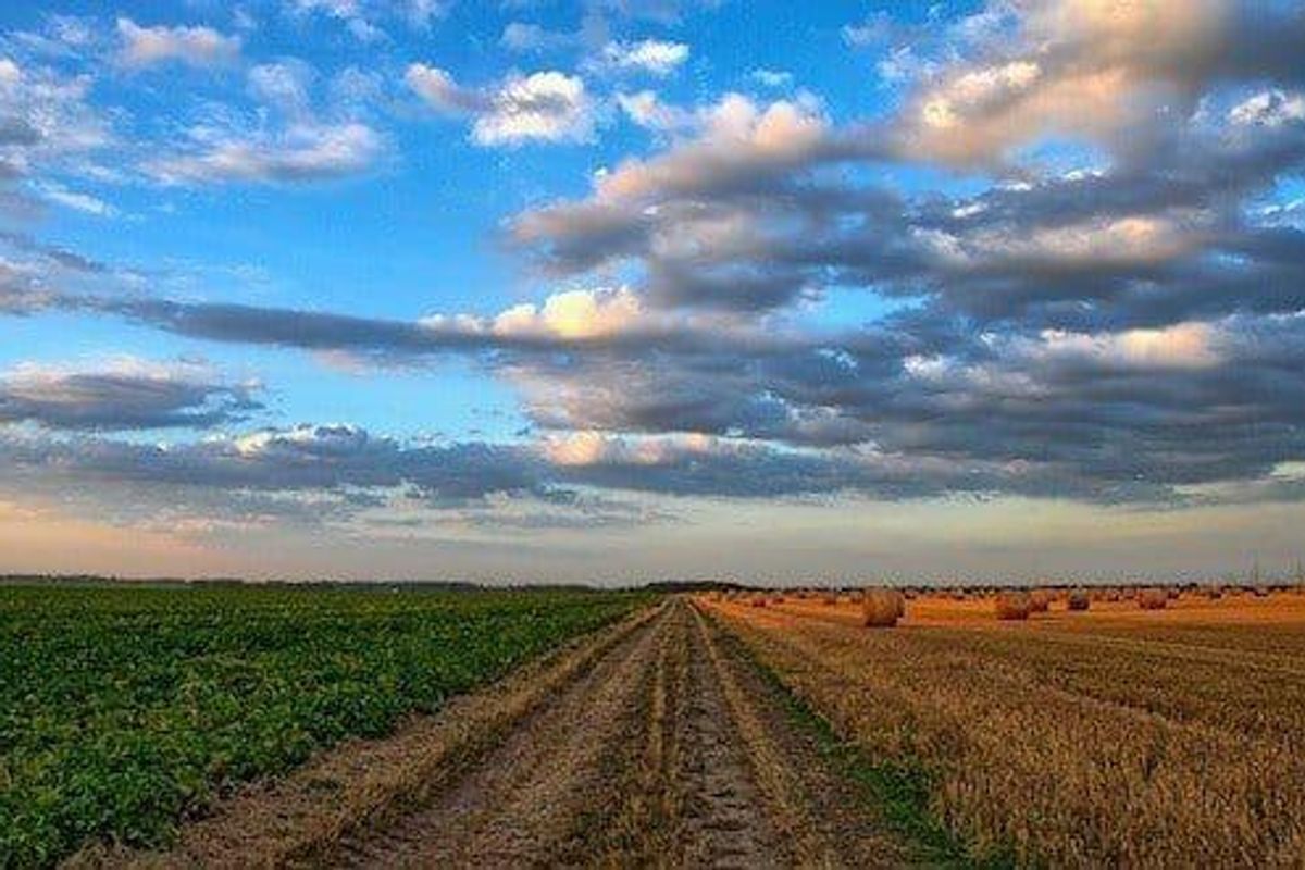 Avenira Says New Phosphate Tech Could be Beneficial