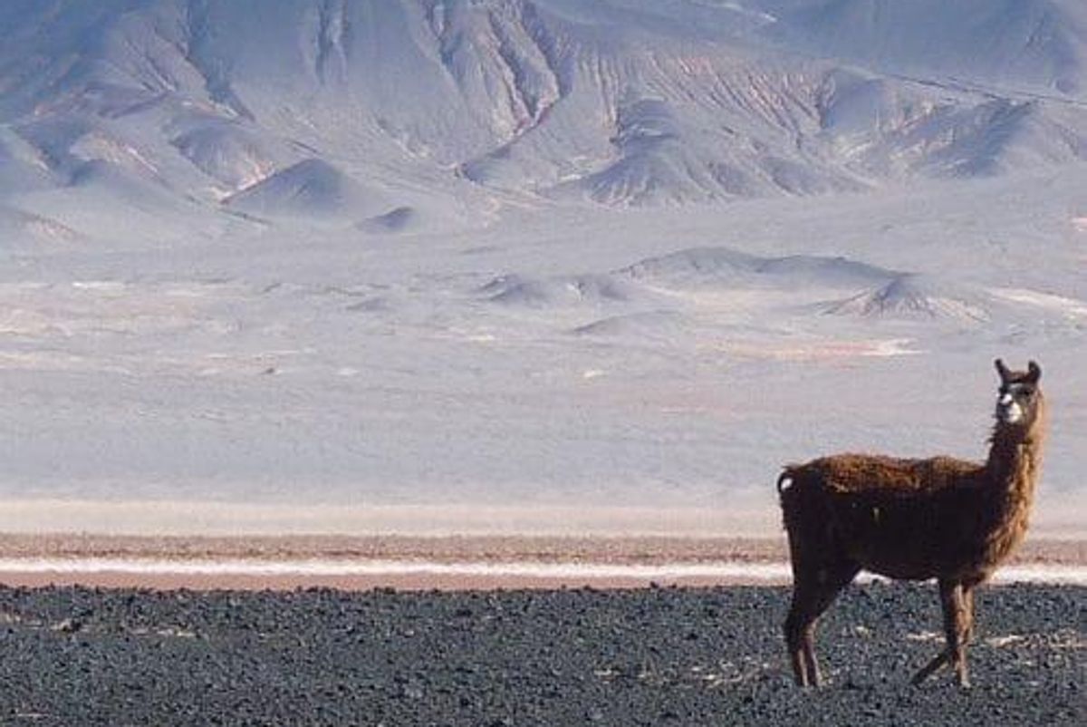 Deal or No Deal: BHP Makes Final Offer to Union at Escondida