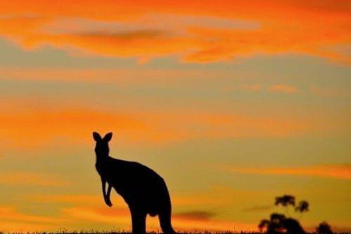 Cleveland-Cliffs Kangaroo Hops Out of Australia