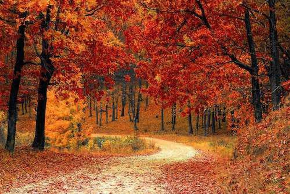 VIDEO - Benj Gallander: End of This Bull Run is Closer Than the Beginning