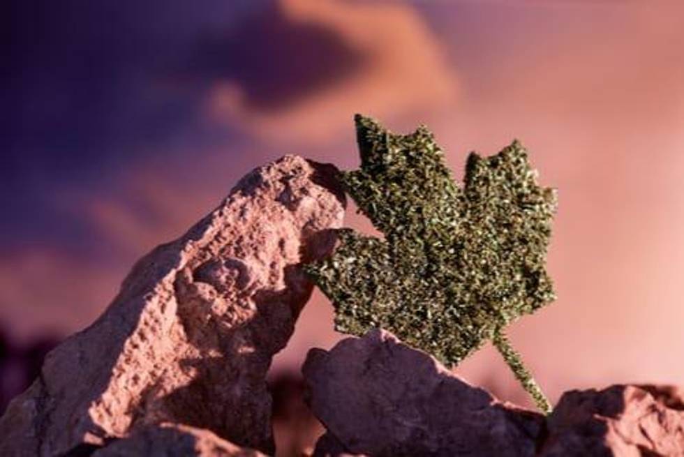 Cannabis Weekly Round-Up: Canadian Sales Set to Pass C$2 Billion in 2020