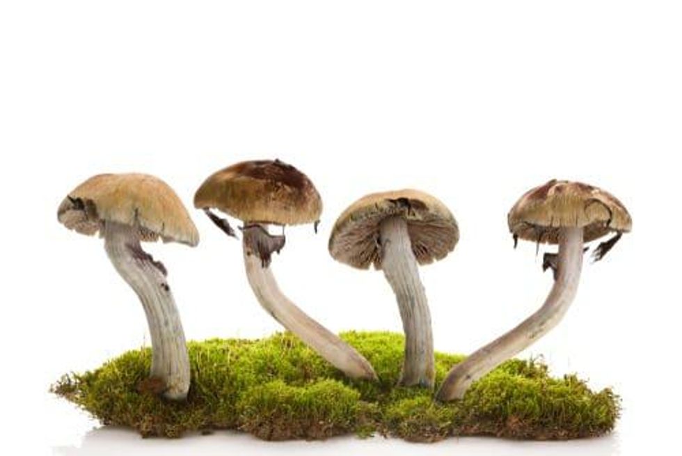 VIDEO - NEO CEO: Psychedelics an “Incredible Opportunity” to Do Good