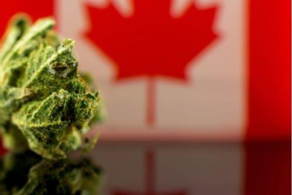 Cannabis Weekly Round-Up: Ontario Ends COVID-19 Measures, Stores Unhappy