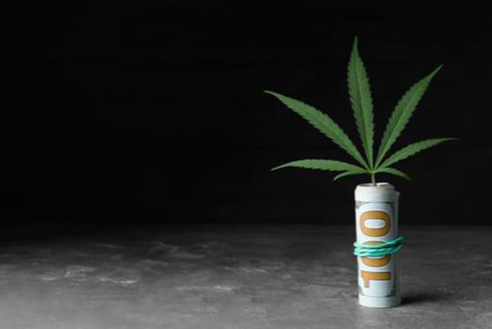 Cannabis Weekly Round-Up: Price Trumps Branding, Consumer Report Shows