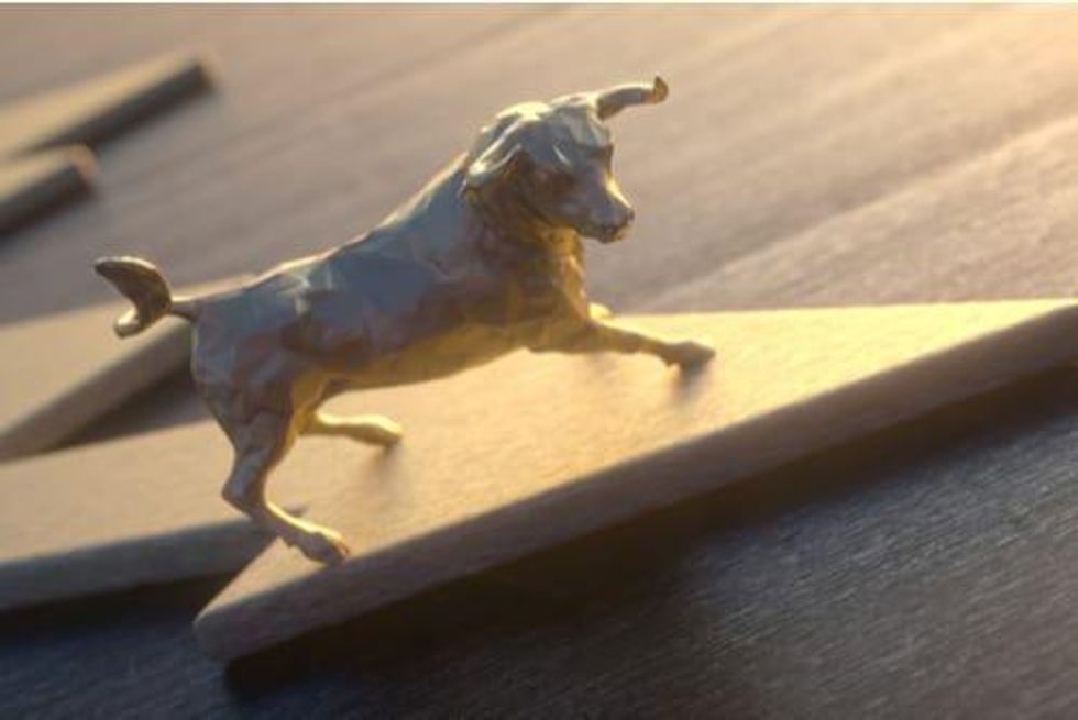 VIDEO - David Erfle: It’s Time for Investors to Put on Their Bull Market Hats