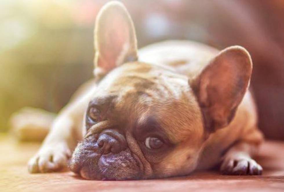 VIDEO - Ryan Irvine: Avoid the Hype, Look for “Boring” Businesses