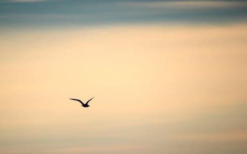 VIDEO - Nick Hodge: We Need New Blood to Take Gold Higher