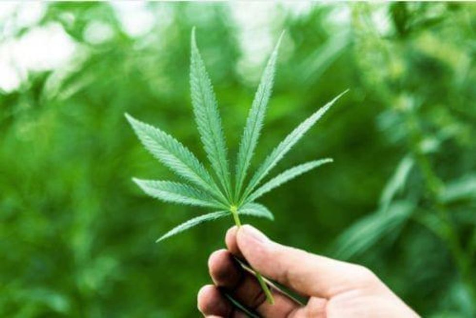 Cannabis Weekly Round-Up: Attorney General Comments on Cannabis Policy