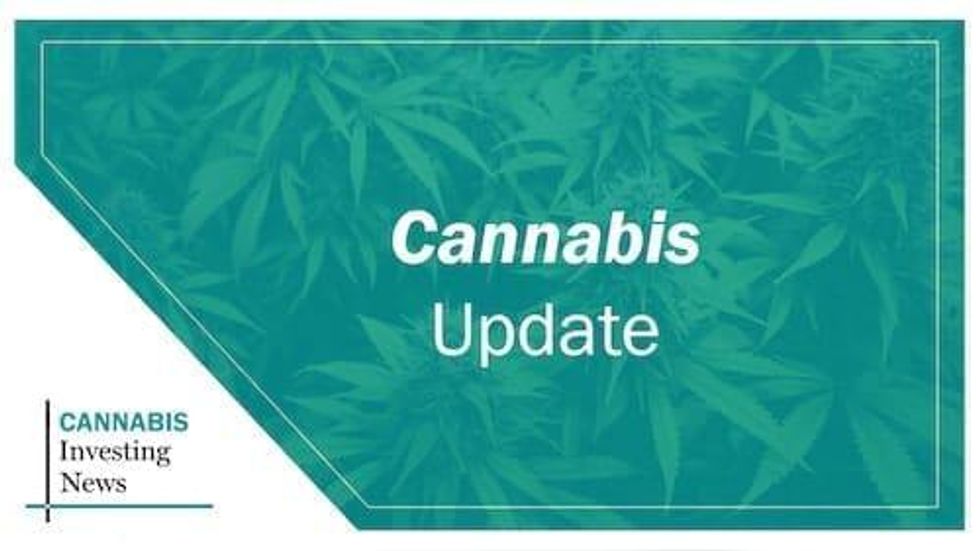 VIDEO - Cannabis Update February 2019
