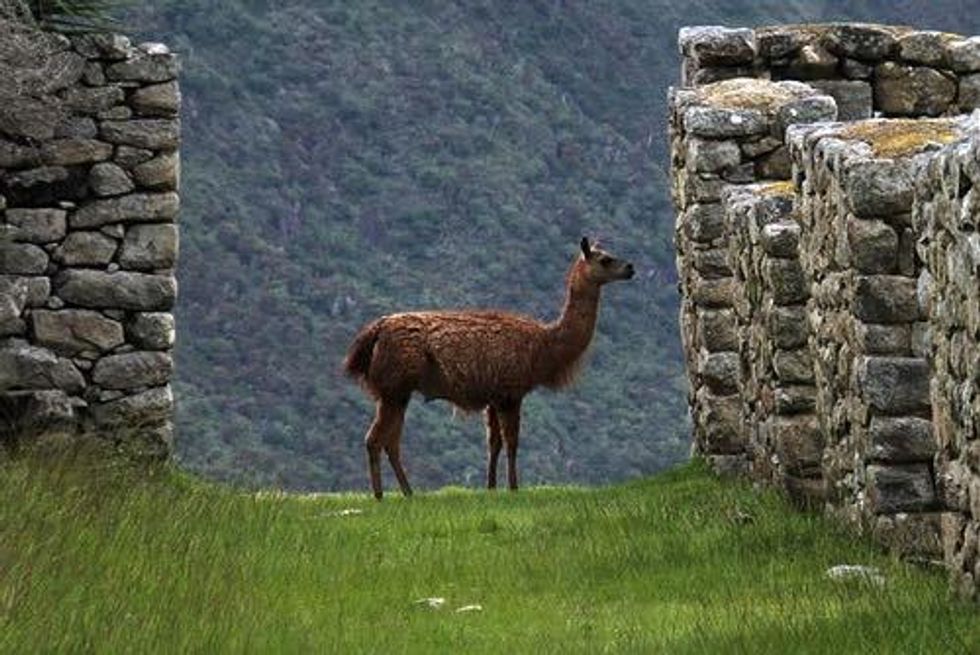 Remi Piet: Despite Corruption, the System is Working in Peru