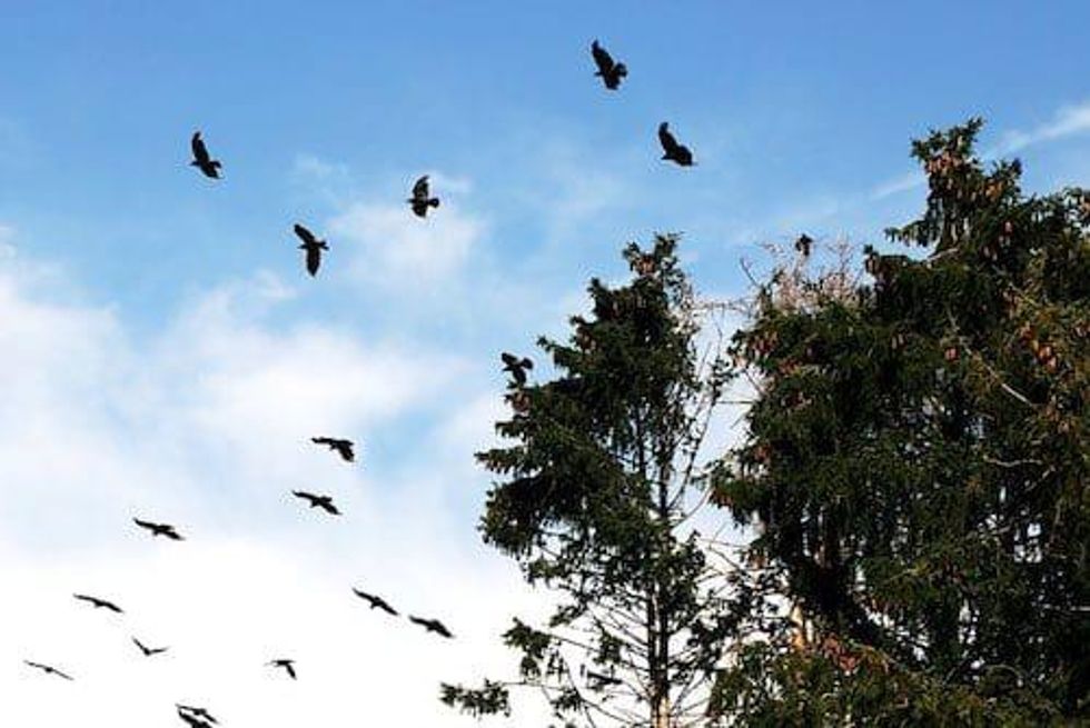 Doug Groh: Gold Has Had a Big Move, Now it Needs to Stabilize