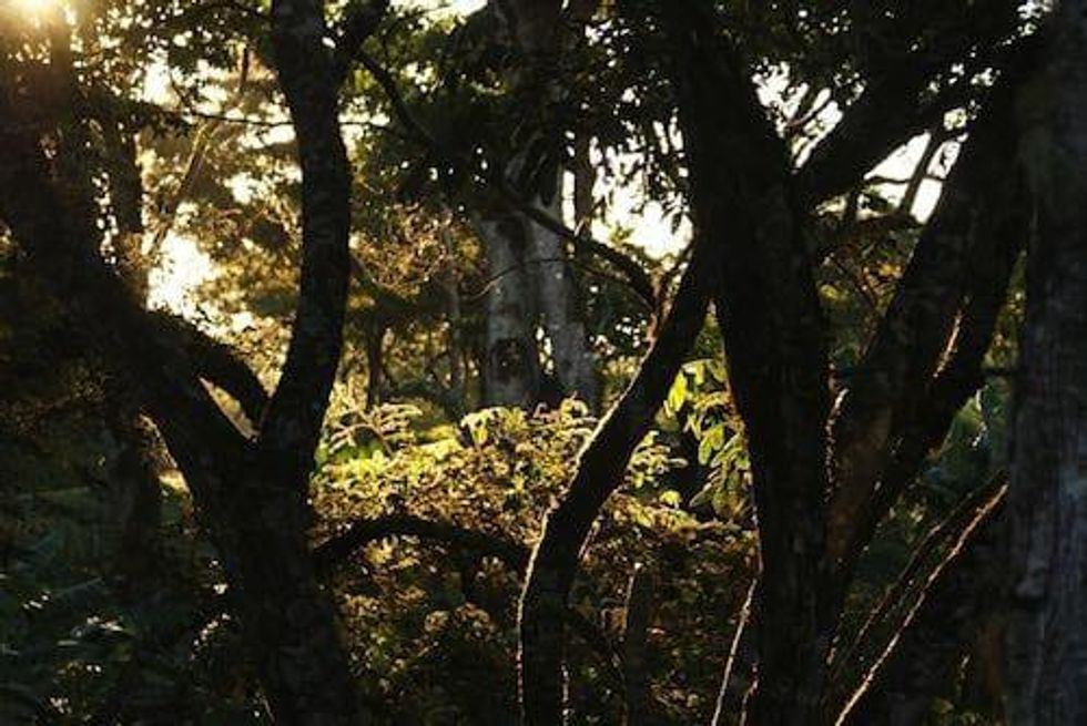 Remi Piet: FARC Doesn’t Change the Game for Investors in Colombia