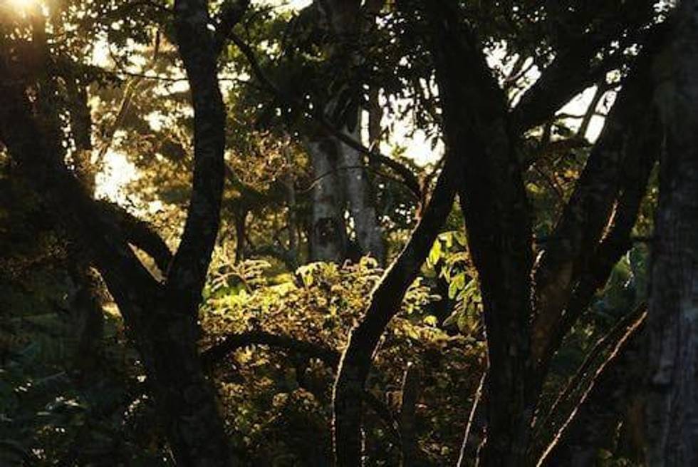 Remi Piet: FARC Doesn’t Change the Game for Investors in Colombia