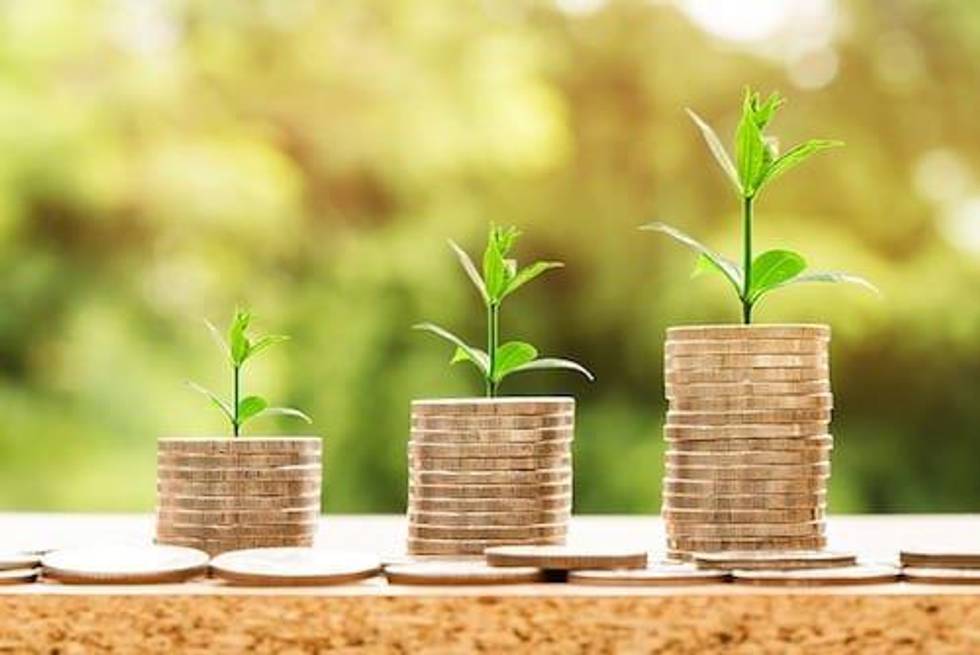 Narbe Alexandrian: Market Prematurely Looking for Profitability