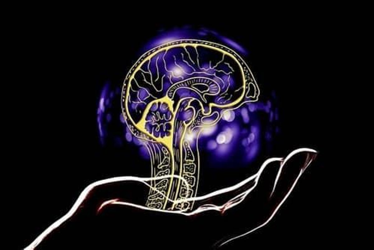 Notes from the Floor: Women in Machine Learning Workshop 2019