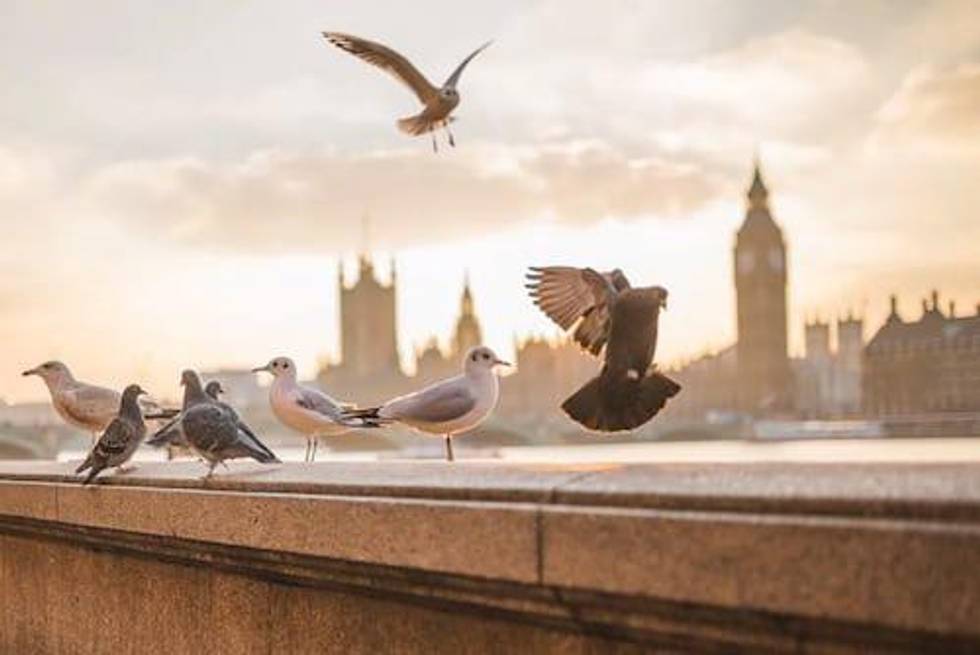 Rick Rule: My Best (and Worst) Call of the Last Decade