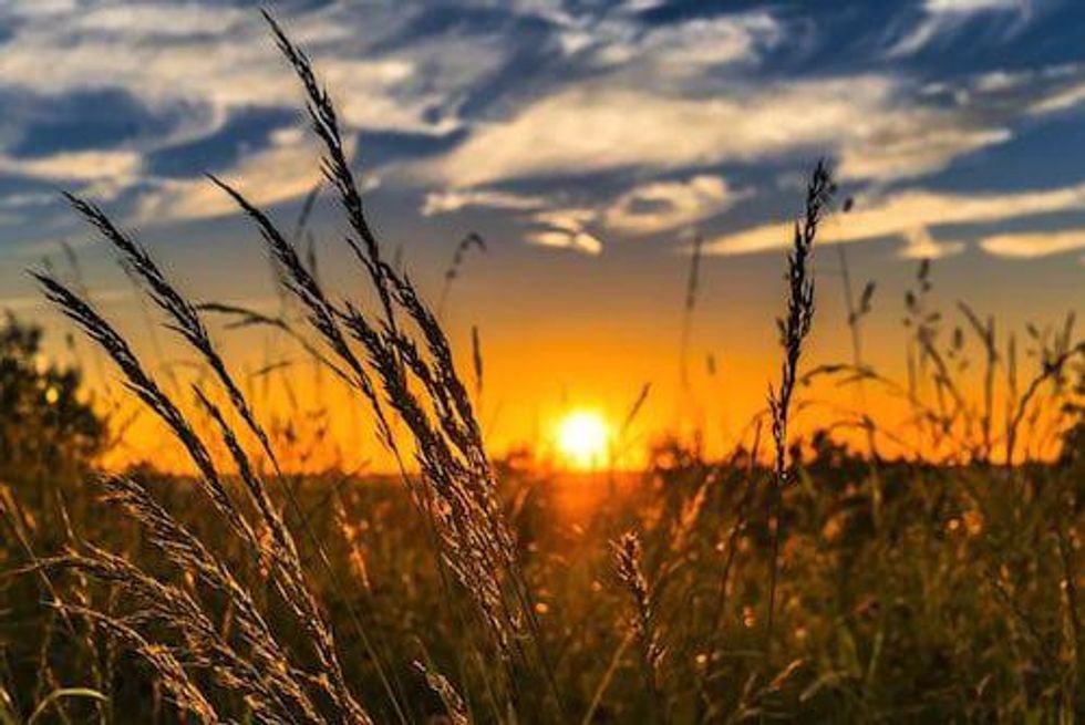 VIDEO - Terry Lynch: Canada Could Lose its Vibrant Junior Mining Sector