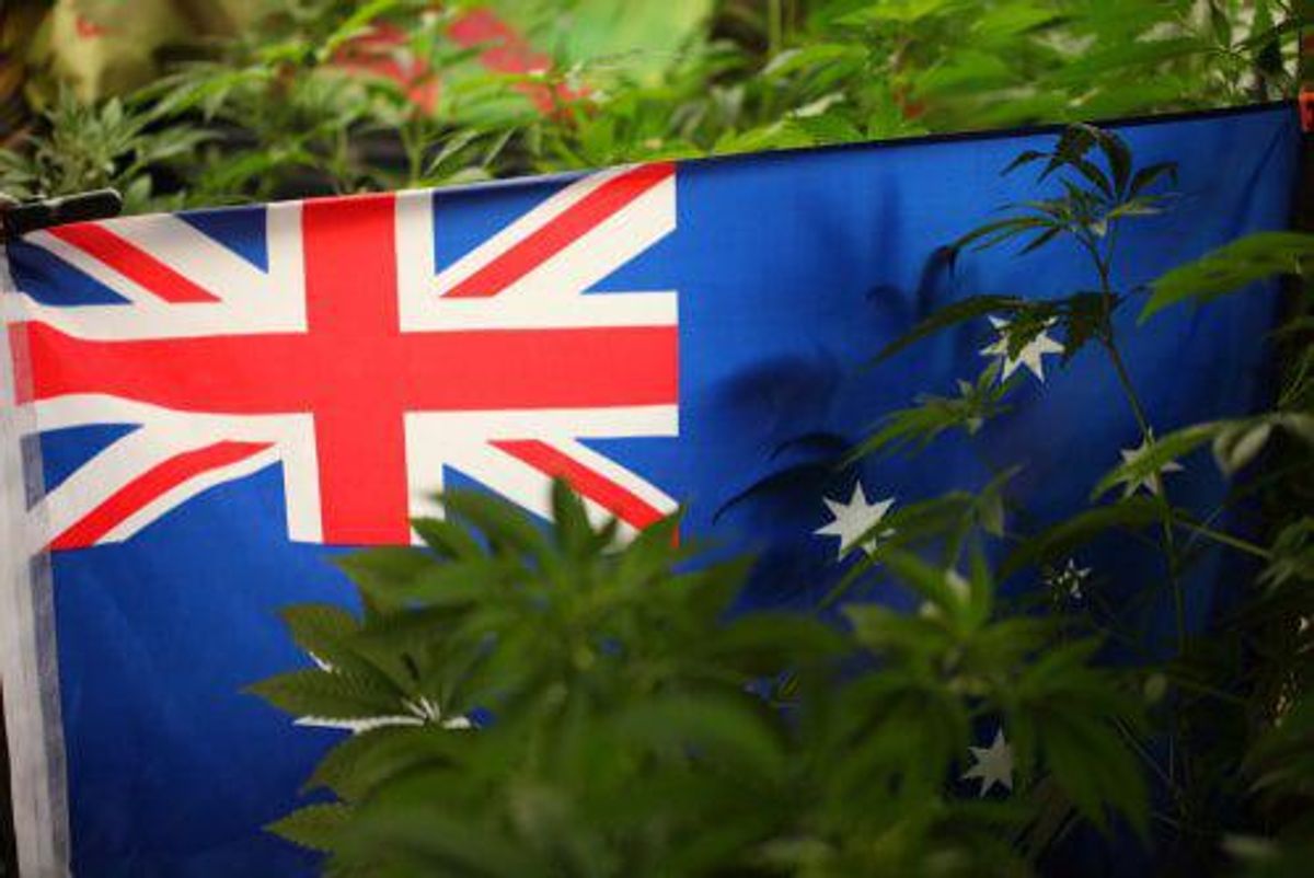 Top ASX Cannabis Stocks of H1 2021