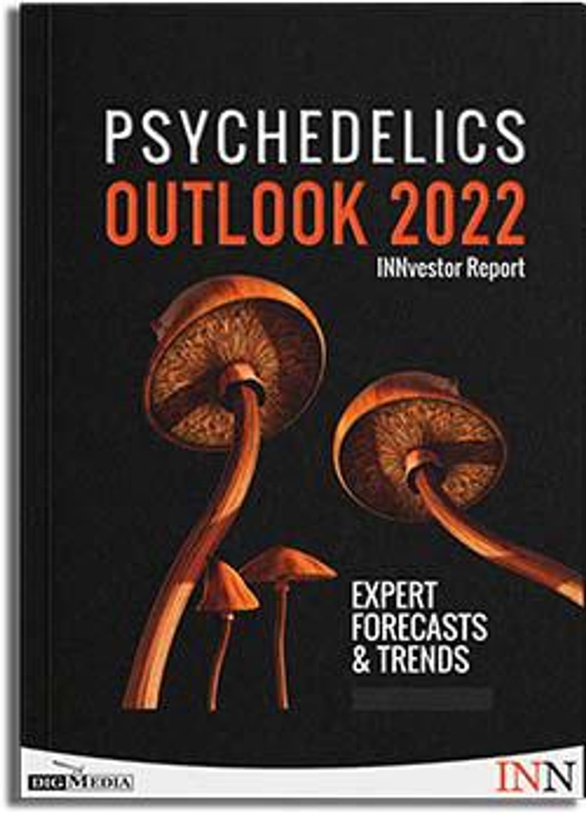 New! Download Our FREE 2022 Psychedelics Outlook Report