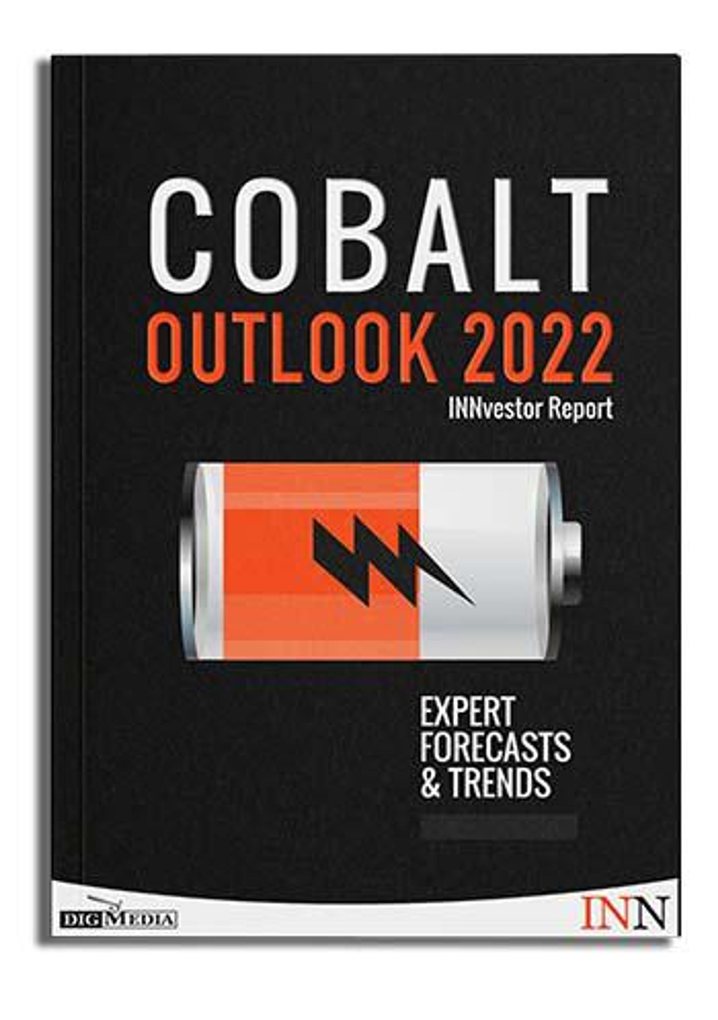 NEW! Download Our FREE 2022 Cobalt Outlook Report