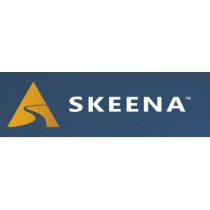 skeena resources lim