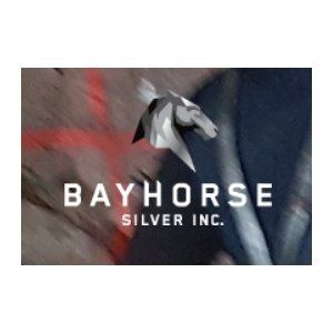 bayhorse silver