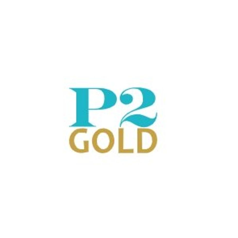 P2 Gold Gabbs Project Update