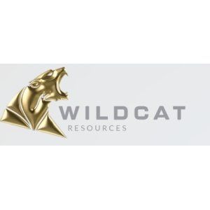 wildcat resources li