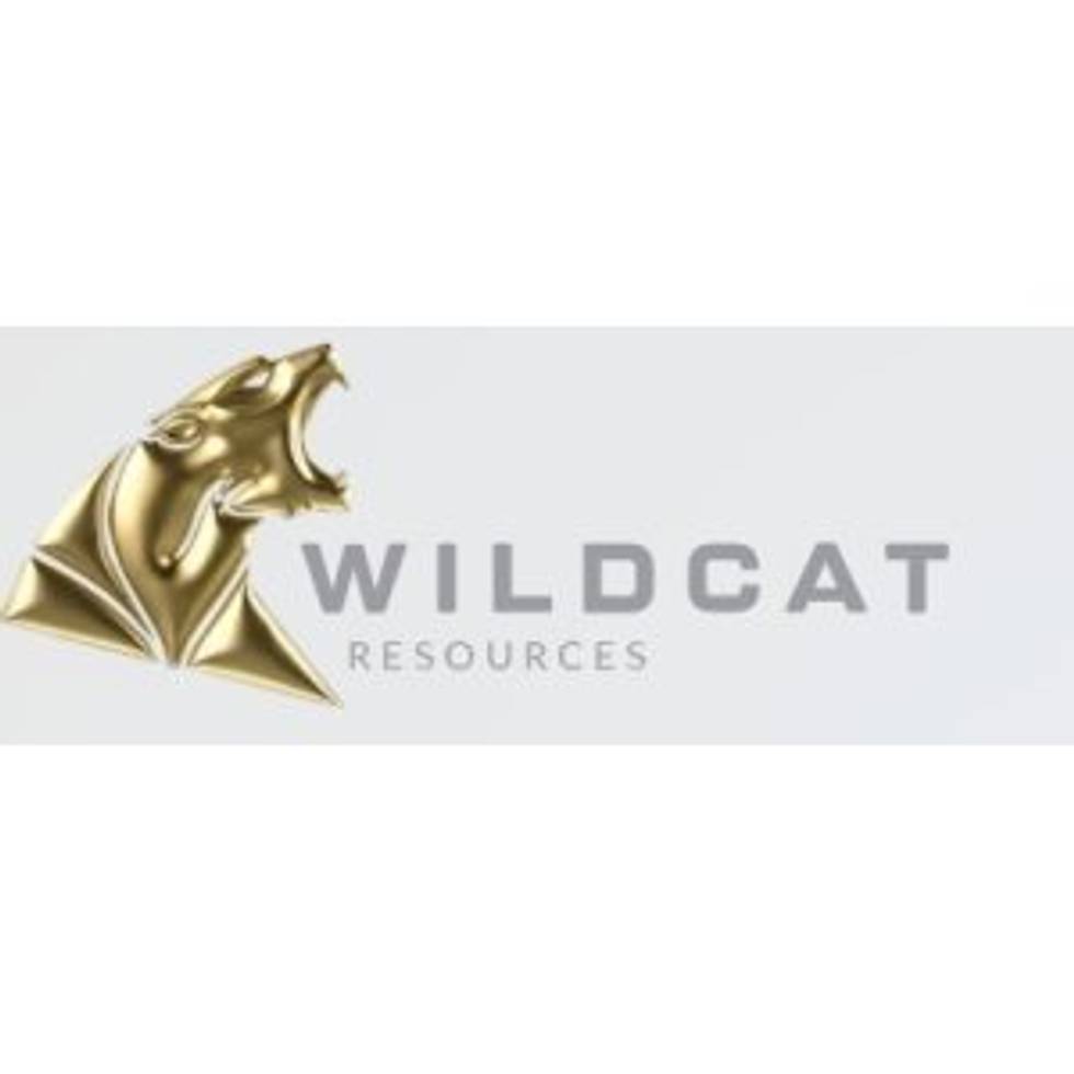 Wildcat resources limited