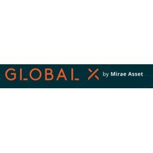 global x copper mine