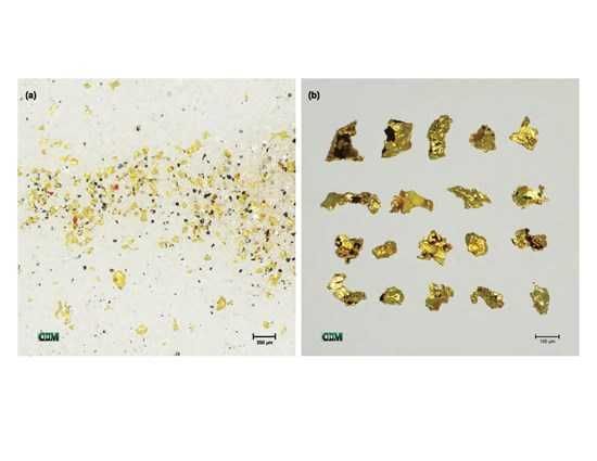 Cannot view this image? Visit: https://images.newsfilecorp.com/files/5023/272865_957240c8e4c809c6_003.jpg