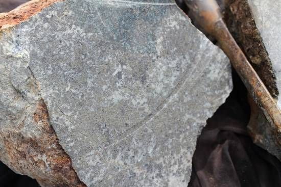 Cannot view this image? Visit: https://images.newsfilecorp.com/files/3615/280004_78c15293141bba75_002.jpg