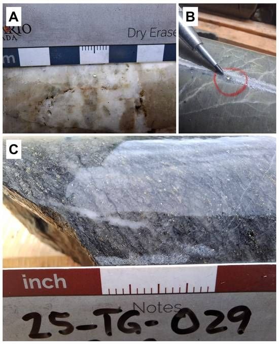 Cannot view this image? Visit: https://images.newsfilecorp.com/files/11439/280181_d5ebe9c5c4cd49d5_004.jpg