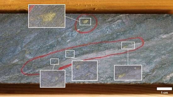 Cannot view this image? Visit: https://images.newsfilecorp.com/files/9800/280167_06201bac943dcb85_001.jpg