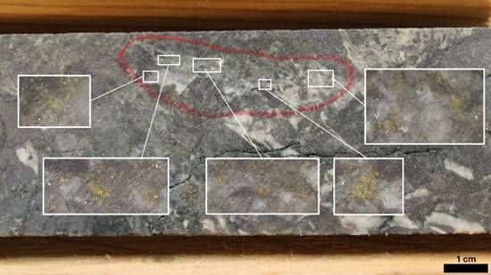 Cannot view this image? Visit: https://images.newsfilecorp.com/files/9800/280167_06201bac943dcb85_002.jpg