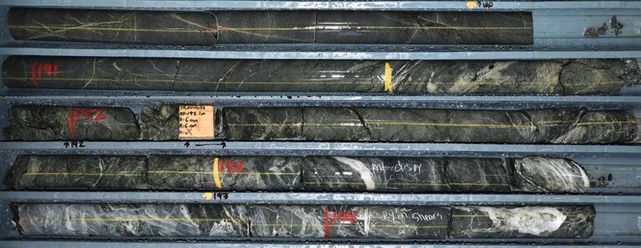 Drill core photo from Trangie hole TRNDH032 showing skarn-style alteration characterized by localized garnet-pyroxene-magnetite assemblages with retrograde chlorite-epidote overprinting. The interval from 190.0 m to 193.0 m returned 3.0 m grading 7.72 g/t gold