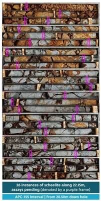 Figure 3: Drill Core from Hole APC-155. Twenty-Six Individual Visible Instances of Scheelite Over 22.15 Metres from 20.50 Metres Down Hole; Pending Assay Results (CNW Group/Collective Mining Ltd.)