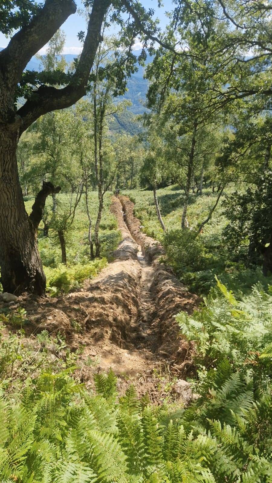 Figure 5: Mechanical trenching under way during the 2025 field season at the Vrela-Kremin trend.